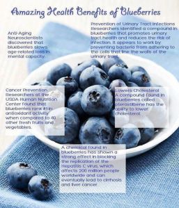 Health benefits of blueberries